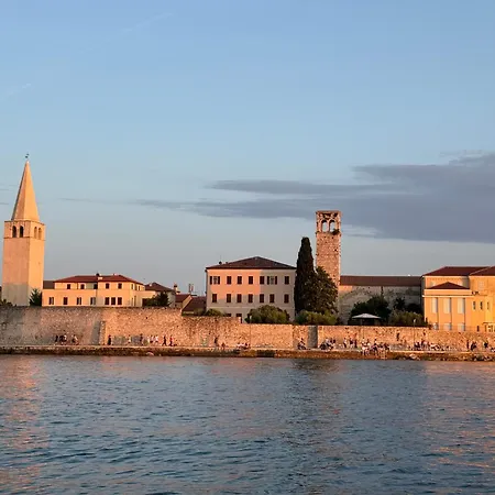 Sani
