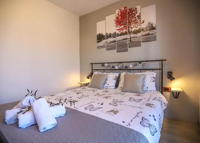 Sani Apartamento Rosini